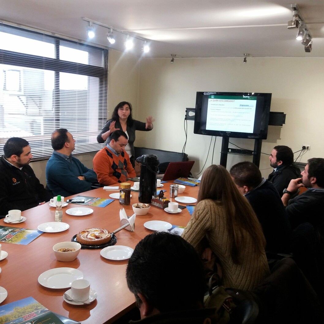 Foto: Loreto Appel, Salmonexpert. Foto: Loreto Appel, Salmonexpert.
