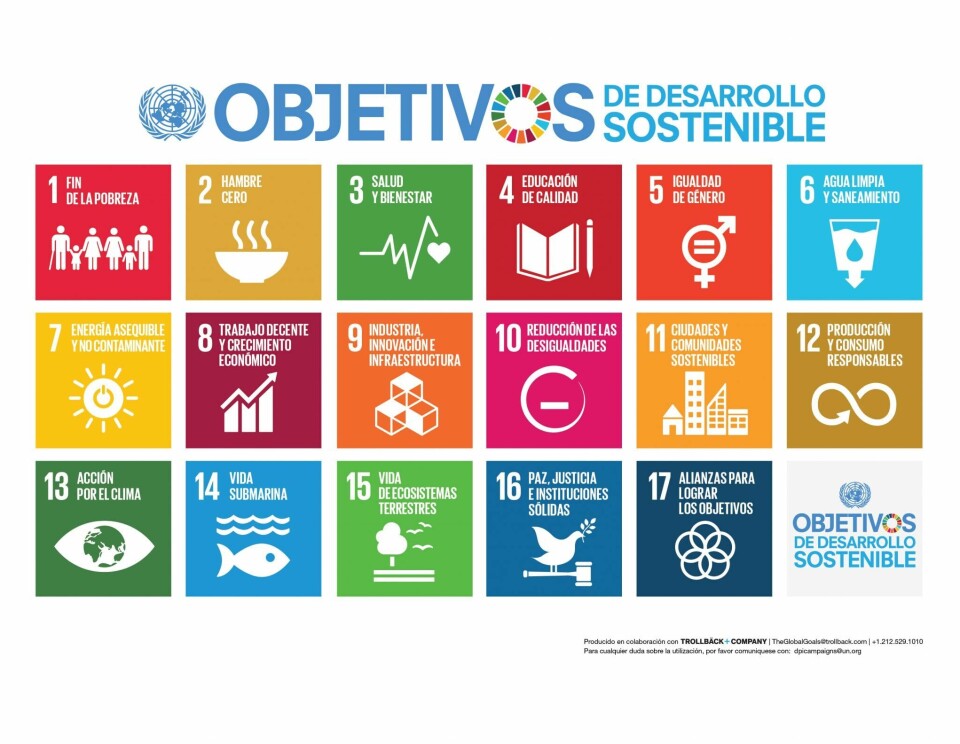La ONU estableció 17 ODS al 2030. Imagen: ONU.