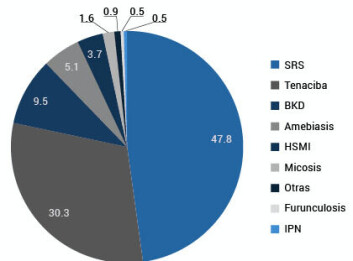 Distribución de mortalidad según enfermedad en salmón Atlántico. Fuente: Sernapesca. Distribución de mortalidad según enfermedad en salmón Atlántico. Fuente: Sernapesca.