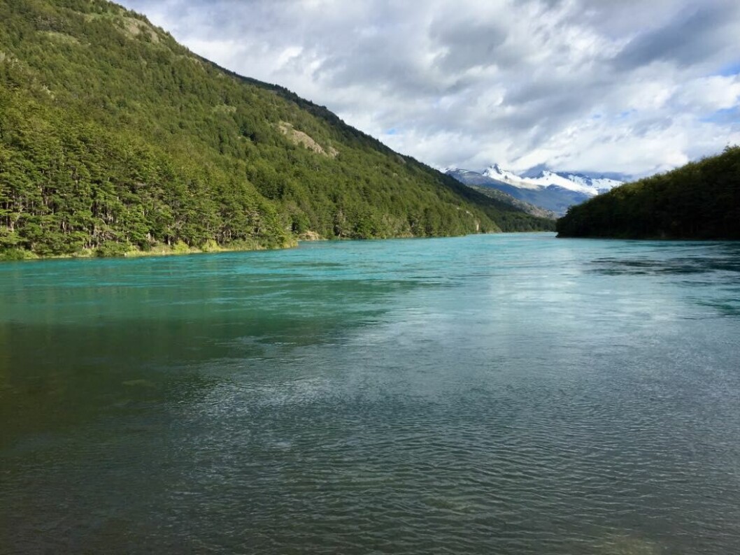 Foto de Patagonia chilena: WWF. Foto de Patagonia chilena: WWF.