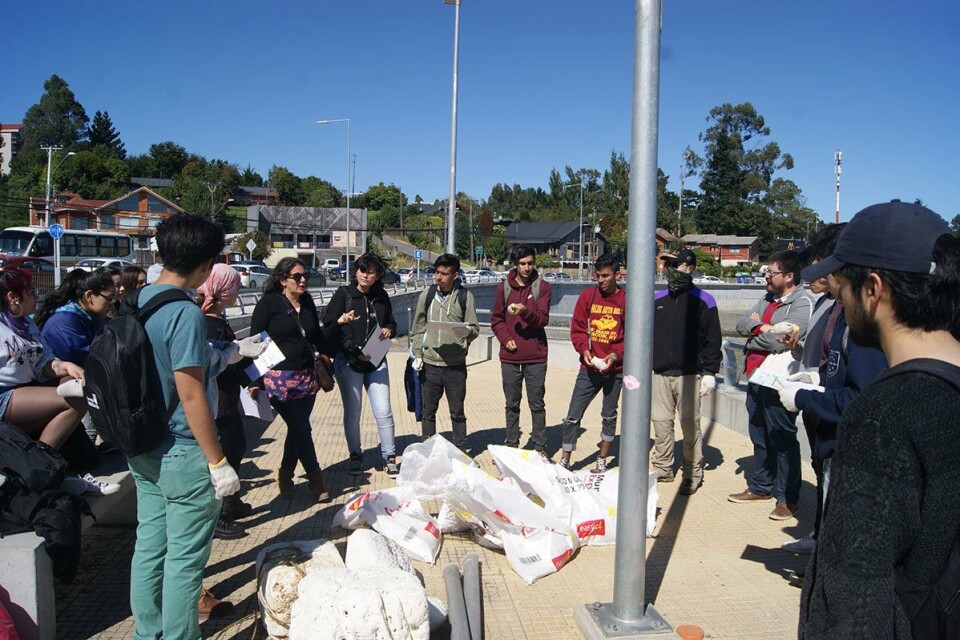 Los estudiantes de Ingeniería Ambiental de la UACh limpiaron la playa de Pelluco. Foto: UACh.