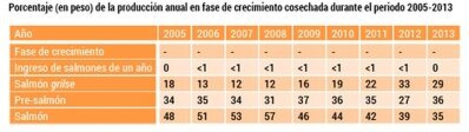 El mayor nivel de producción en una década