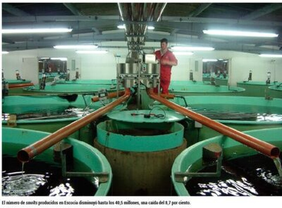 El mayor nivel de producción en una década