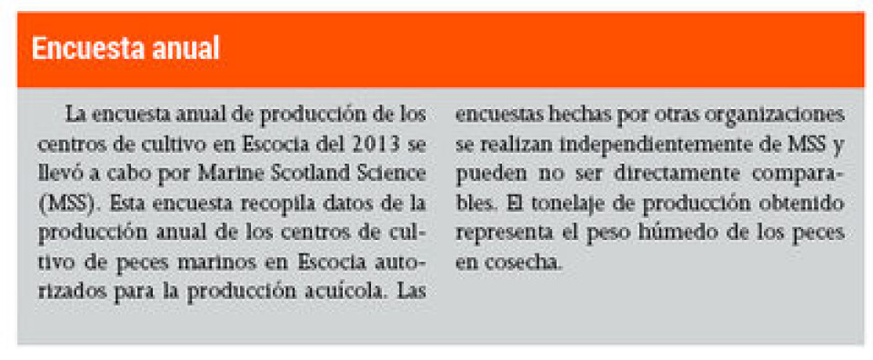 El mayor nivel de producción en una década