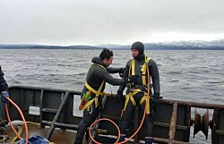 Inician reflotamiento de barcaza samonicultora hundida en Seno Skyring