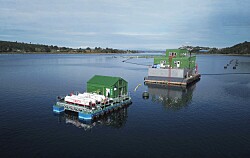 Gasco desarrolla sistema energético a gas licuado para centros de salmón