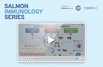 Inmunidad de mucosas: Clave para el equilibrio entre microbiota y patógenos (video)