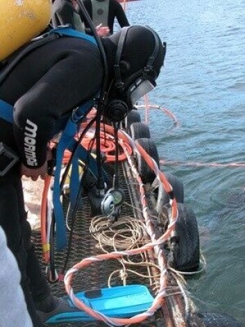 Smart Diver es un software que apoya la labor del supervisor del equipo de buceo. Foto: Cedida. Smart Diver es un software que apoya la labor del supervisor del equipo de buceo. Foto: Cedida.