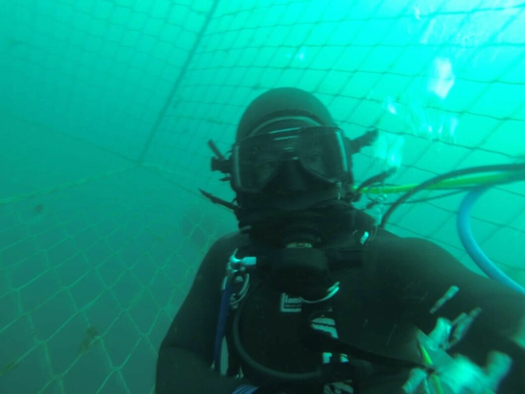 El tiempo de exposición del buzo y la profundidad son las variables que el sistema Smart Diver monitorea y controla en tiempo real, segundo a segundo. Foto: Cedida.