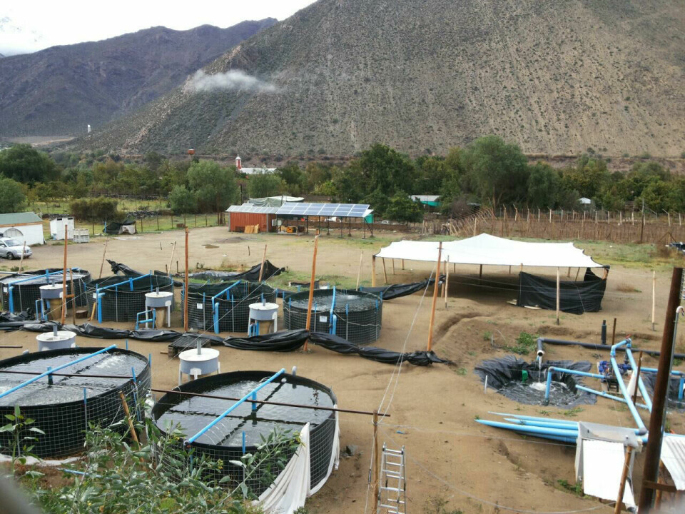 Instalaciones de granja con desarrollo del modelo de acuiponía. Foto: Granja Agro-Acuícola Diaguitas.