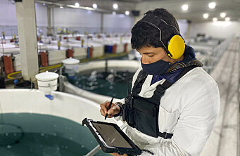 Innovadora empresa de acuicultura digital recauda US$7 millones para expandirse