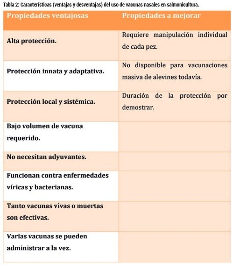 El sistema inmunológico olfativo de los salmónidos y el potencial de las vacunas nasales en salmonicultura
