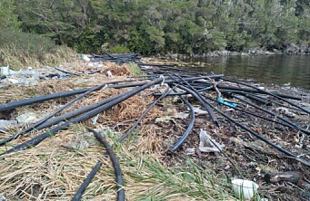 El trabajo conjunto para identificar y limpiar playas sumideros en Aysén