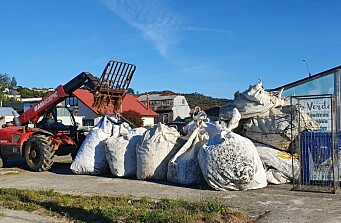 El trabajo de Salmones Austral para impulsar reciclaje y gestión de residuos en Quinchao