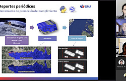 El valor de las imágenes satelitales para fiscalización de la salmonicultura