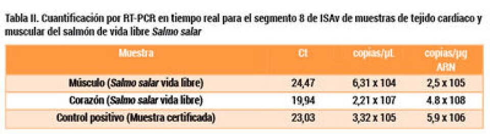 El virus ISA fuera de la balsa jaula