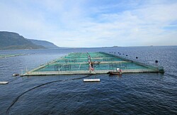 Instalan nueva boya por programa de monitoreo ambiental a barrios de salmón