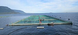 Instalan nueva boya por programa de monitoreo ambiental a barrios de salmón