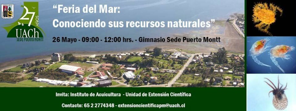 Feria del Mar