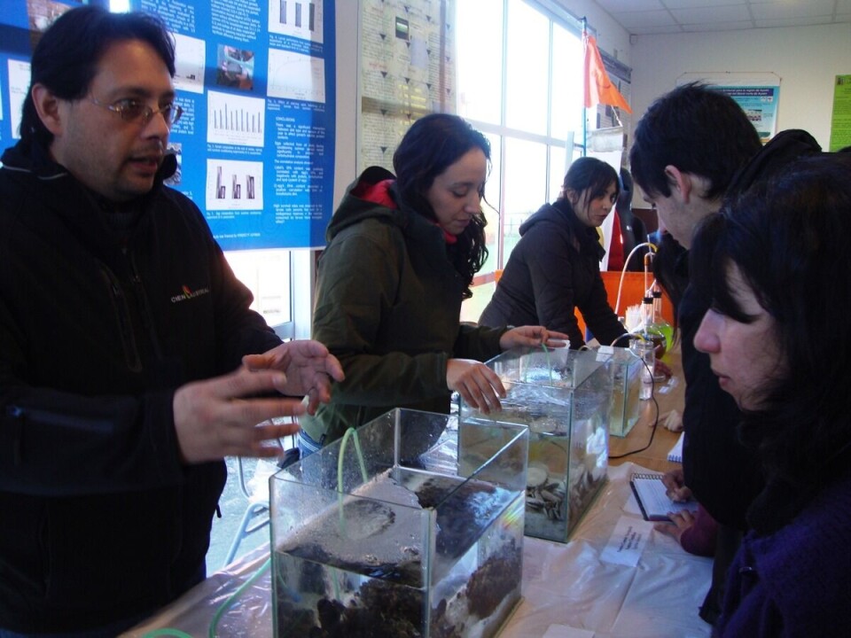 Instituto de Acuicultura UACh invita a Feria del Mar