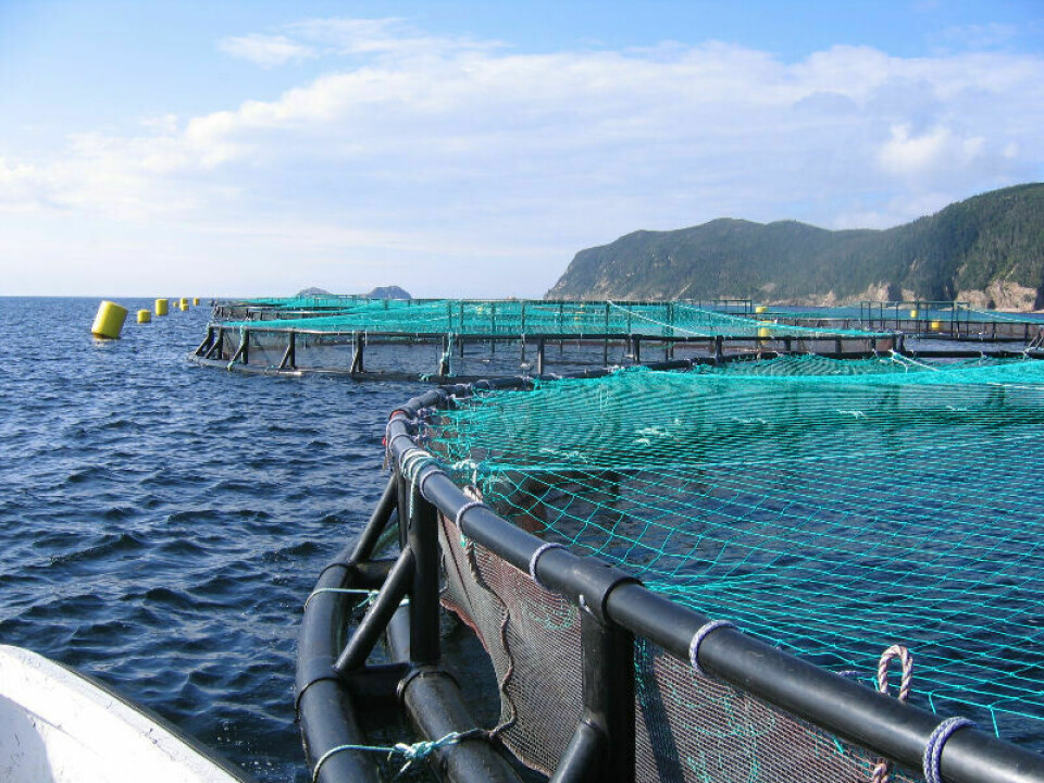 Centro de cultivo de Cooke Aquaculture. Foto: Archivo Salmonexpert.
