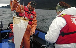 Emprendimiento chileno realiza monitoreo integral de FAN a bordo de wellboats