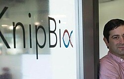 Empresa KnipBio lanza bio-astaxantina de origen bacteriano