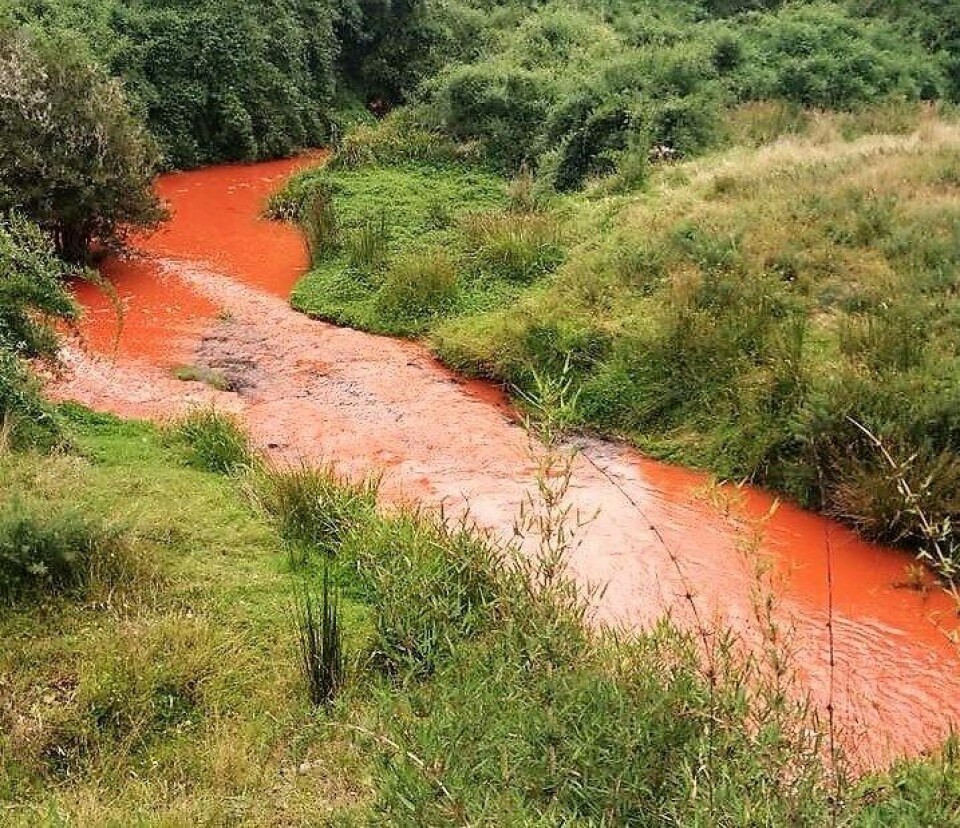 Contaminación en el río Trailen. Foto: Jorge Reyes.