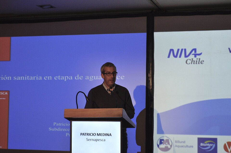 Patricio Medina, profesional de Salud Animal de Sernapesca. Imagen: Daniella Balin, Salmonexpert.