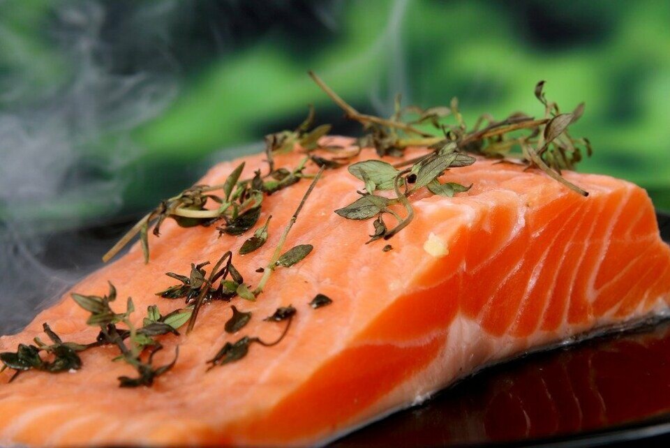 El precio del salmón noruego anotó una leve alza durante la séptima semana del año. Foto: Archivo Salmonexpert.
