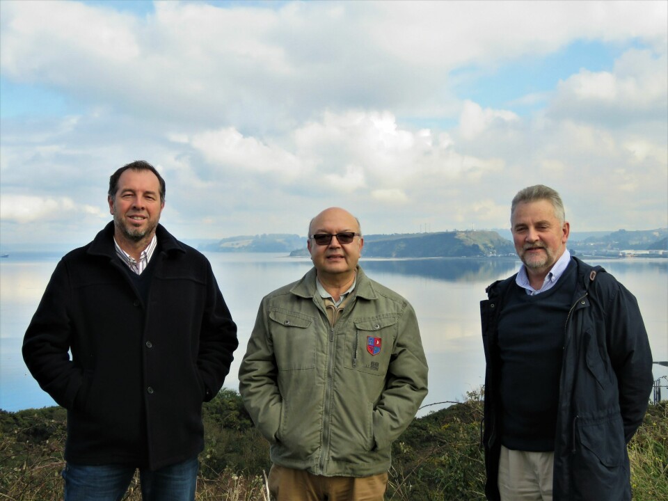 Impulsores de Oatech: Rodrigo Sánchez, Héctor Ruiz y Cristino Stange. Foto: Karla Faundez, Salmonexpert.