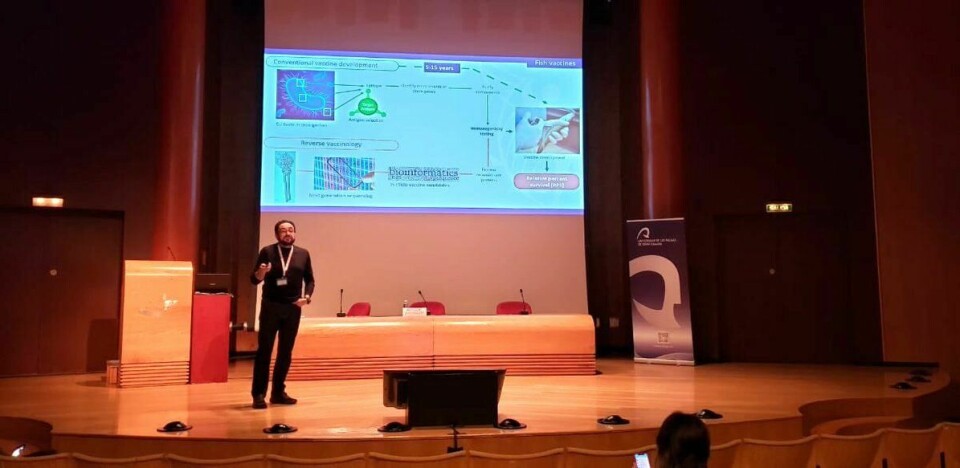 El investigador Cristián Gallardo, exponiendo en la III Conferencia Internacional de Inmunología de Peces y Moluscos. Foto: Incar.