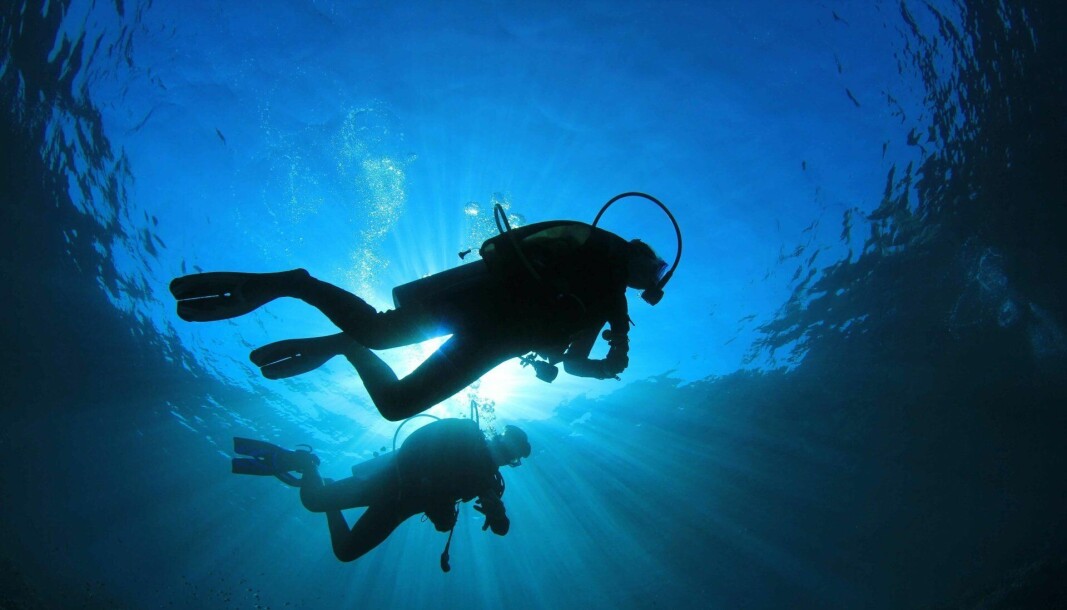 Imagen referencial de buceo. Imagen referencial de buceo.