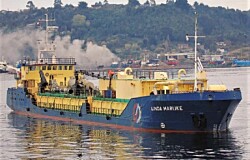 Investigan muerte de tripulante de wellboat en Quellón tras descarga eléctrica