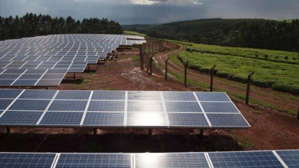 Energía solar: una alternativa para la industria salmonicultora