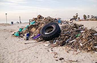 Invitan a Conmemorar el Día Internacional de Limpieza de Playas