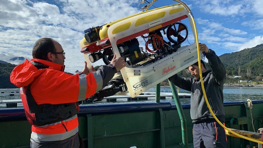 Vehículo robótico submarino Falcon. Foto: Underdepp Solutions.