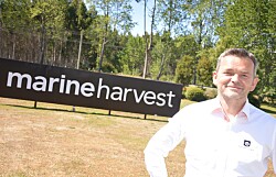 Marine Harvest insiste en instaurar cuota de producción