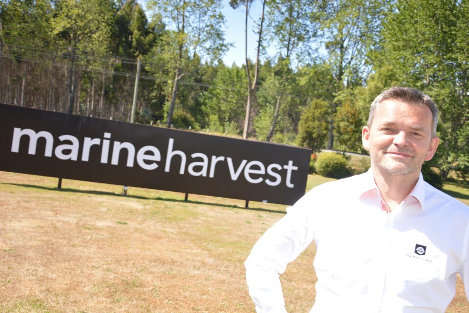 Marine Harvest Chile detalla aspectos clave para mejorar regulación