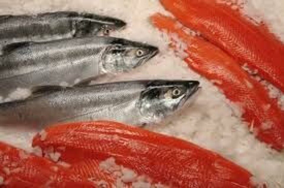 Salmón noruego podría ser potencial fuente de Listeria monocytogenes
