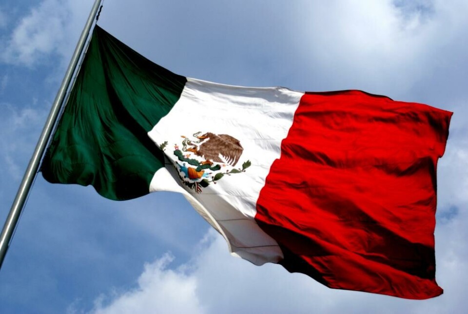Salmón entre las principales exportaciones chilenas a México