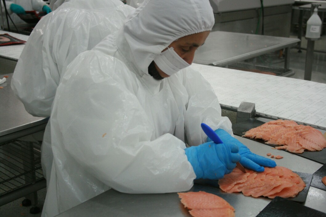 Imagen referencial. Foto: Salmonexpert. Imagen referencial. Foto: Salmonexpert.