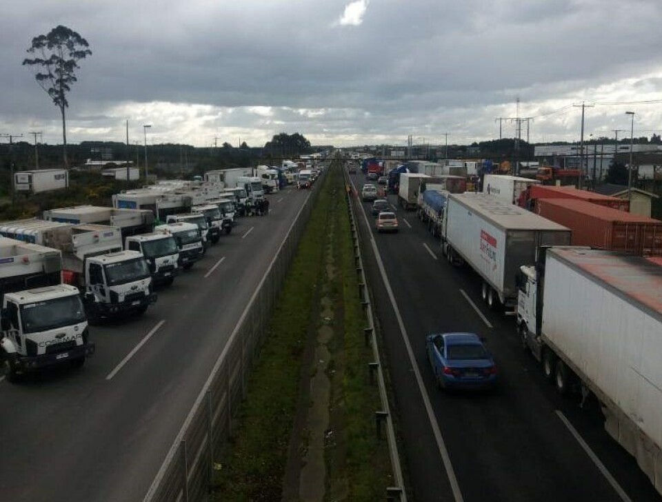 Soluciones innovadoras para el transporte de pescado fresco