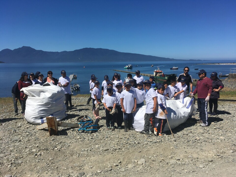 Las escuelas de Ayacara y Buill, de la región de Los Lagos, participaron de la limpieza de Playas. Foto: Salmones Camanchaca.