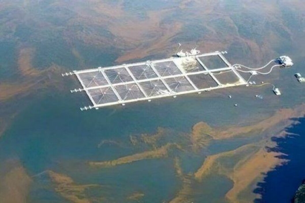 Episodio de FAN en Fiordo Comau dejó más de 7 mil toneladas de mortalidad de salmón. Foto: Archivo Salmonexpert. Episodio de FAN en Fiordo Comau dejó más de 7 mil toneladas de mortalidad de salmón. Foto: Archivo Salmonexpert.