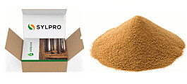 Establecen que proteína de madera es un “sustituto adecuado” de la harina de pescado