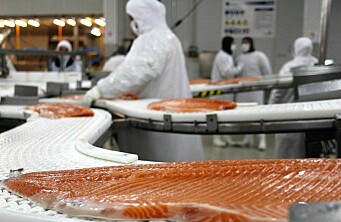 Estados Unidos impulsa envíos de salmón desde Los Lagos