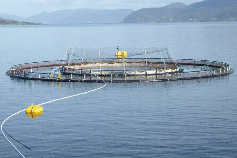 Jaula snorkel para el cultivo de salmones de escala comercial (160 m) utilizada para la prevención de la infección por piojo de mar. El desarrollo de tecnologías eficientes y sustentables como esta es posibles gracias a un profundo entendimiento del comportamiento del salmón y el parásito. (Foto: Frode Oppedal, Institute of Marine Research, Noruega)