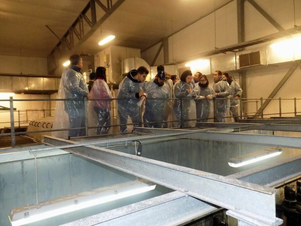 Piscicultura Río Hollemberg. Foto: Salmones Magallanes.