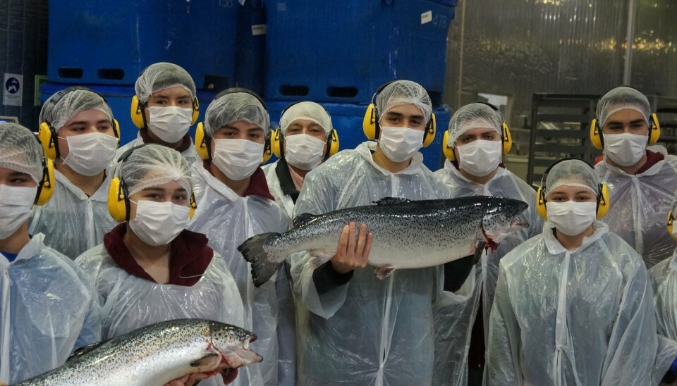 Alumnos del Liceo Polivalente Hernando de Magallanes en visita a planta de proceso de salmón.